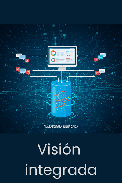 Visión integrada